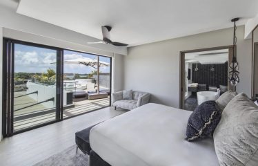 Somptueuse Propriété   de prestige Bassin LUBINE