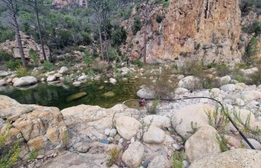 DOSSIER CONFIDENTIEL  Unique Bastide de pierre sur  de Bavella ultra protégé