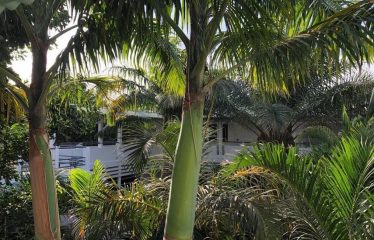 Dossier Confidentiel  Somptueuse  Propriété pieds dans l’eau direct plage sur une baie préservée , Baie de Boucotte  Cap skirring , Sénégal